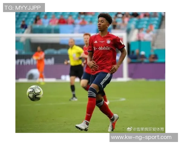 足球著作的魅力与智慧探讨：从经典到现代的足球文学之旅